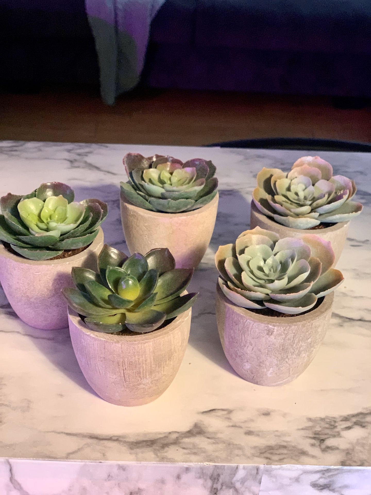 Fake Succulents in Ceramic Pot
