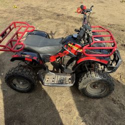 Kid’s Quad 