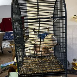 Big Bird Cage 