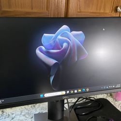 Two 21.5” Dell Monitors 