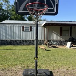 Basketball Hoop 