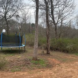 Need 2 Trees Cut Down 100