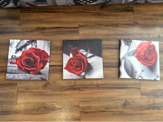 Rose paintings
