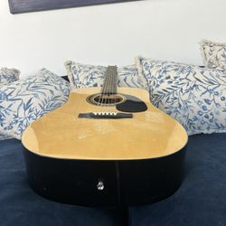 Acoustic Rogue Guitar 