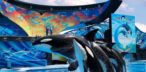 Seaworld