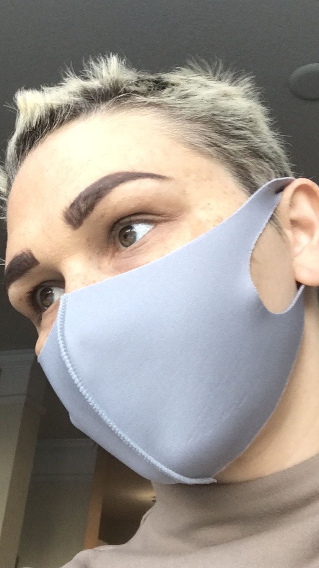 Gray Face Mask