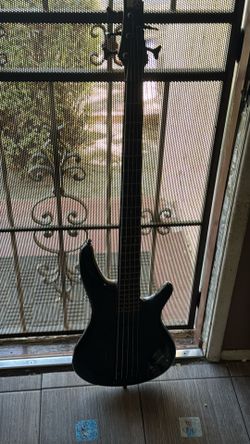 5 String Bass Guitar