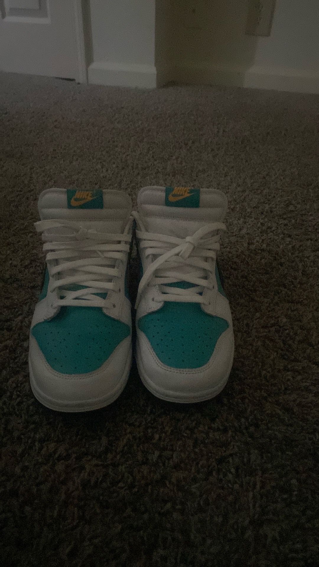 Nike dunks
