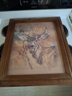 Deer Pic BUck Great Pic To Own And Have