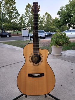 Acoustic Guitars