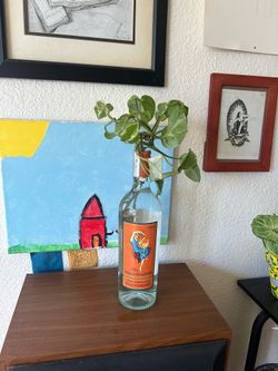 Pearls and Jade Pothos Propagation