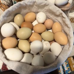 Eggs for sale