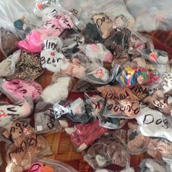 Beanie Babies Collection Over Six Hundred Beainie All 30 Years Old 