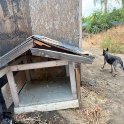 Free dog house for large dog or many dogs