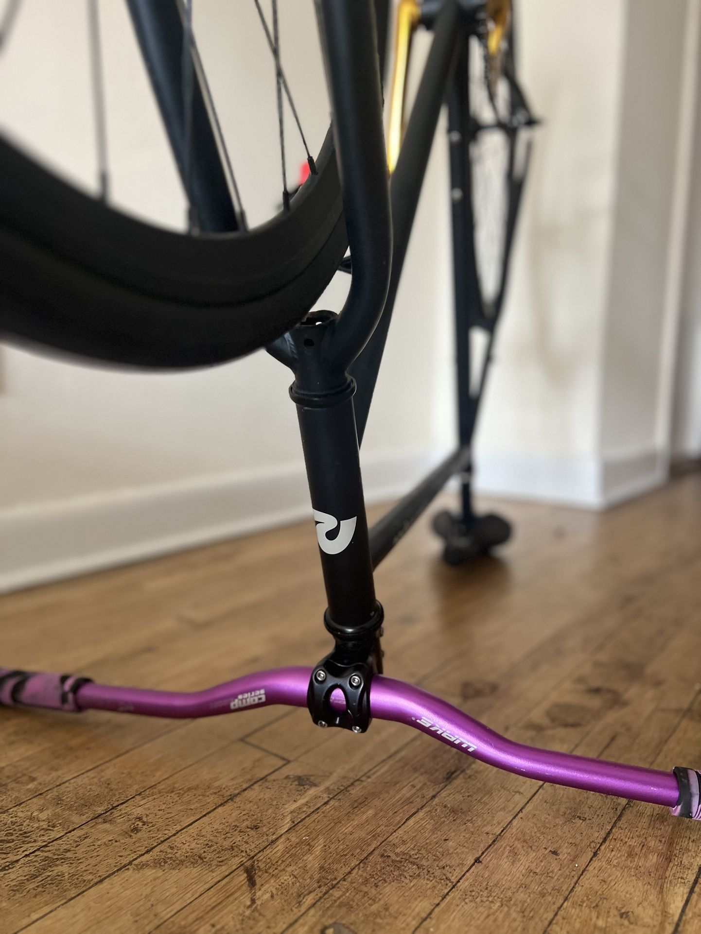 Fixed Bike 🚲 Single Speed (RetroSpec Harper