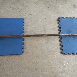 Olympic Barbell - 45lbs