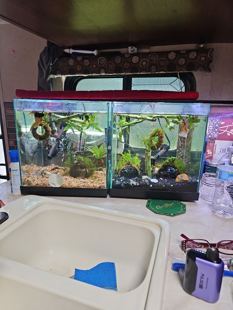Aquarium 6 Gallon