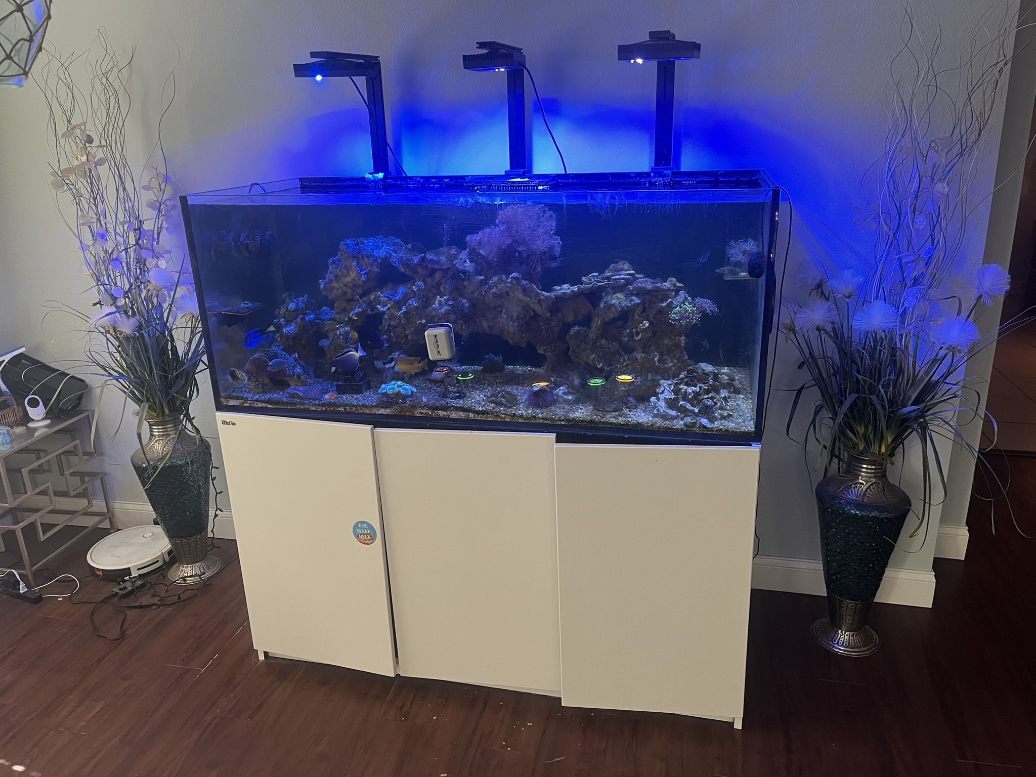 Saltwater Aquarium (RedSea 625 XXL) Super Discounted