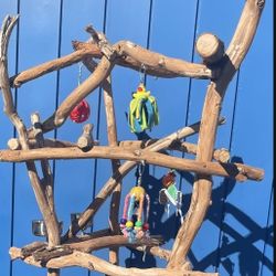 Thick And Gnarly - Macaw / Cockatoo Fun Spot ! Curvy N Thick Ribbon Wood … Lasts For Years ! 