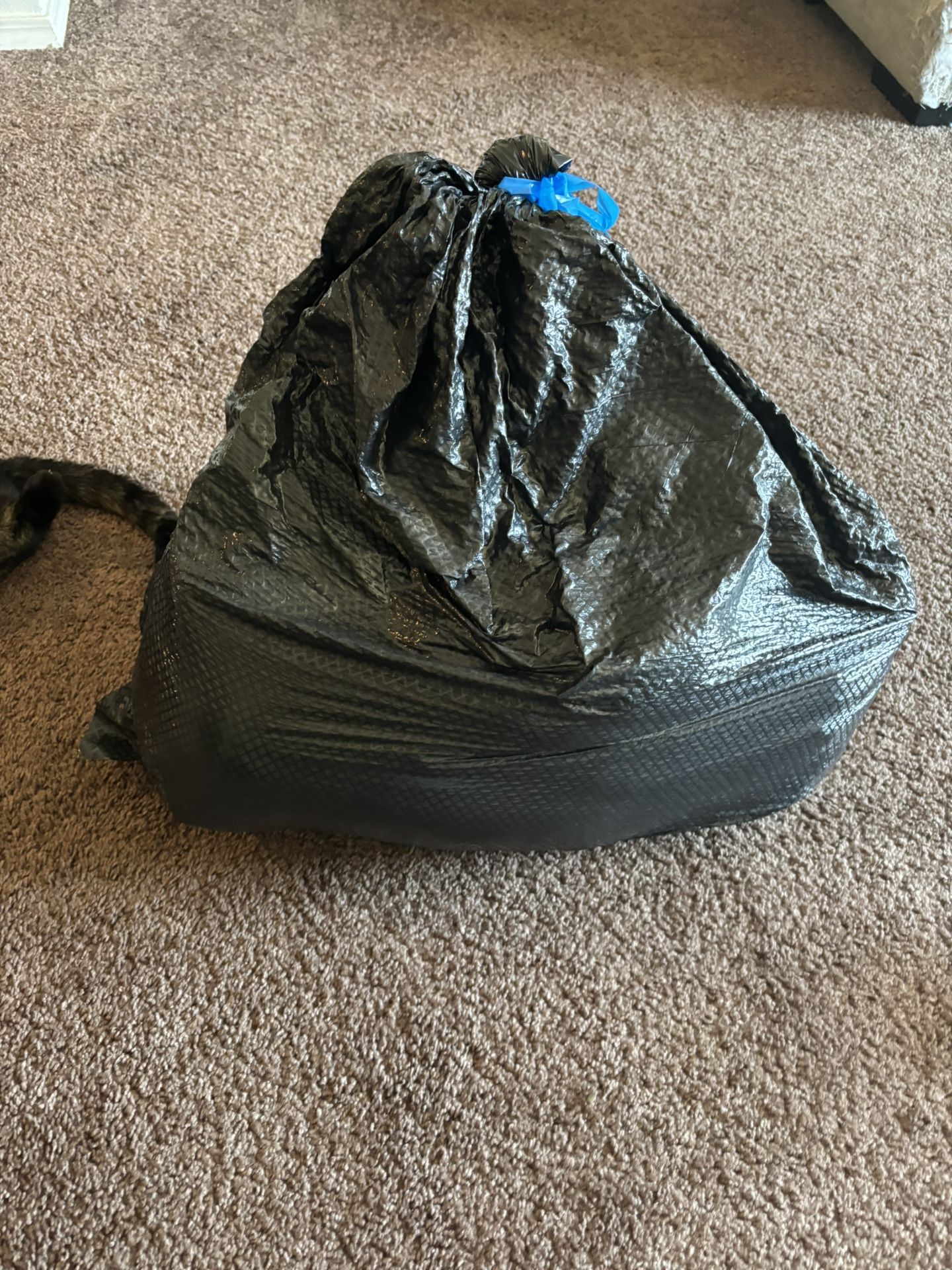 Women’s Clothes M-XXL
