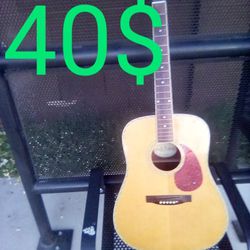 Acoustic Electric Project Guitar 