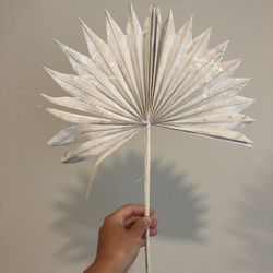 Dried Sun Palm Leaves Boho Decorations 