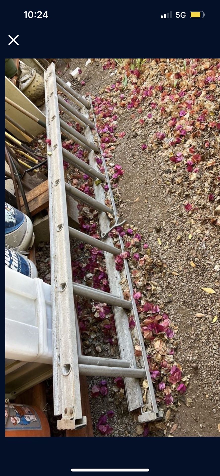  Ladder 🪜 