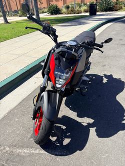 CfMoto 2023 Papio