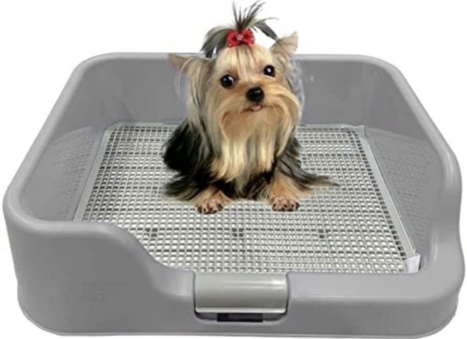 Indoor Dog potty tray with protection wall