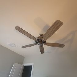 Ceiling Fan Without Light kit 