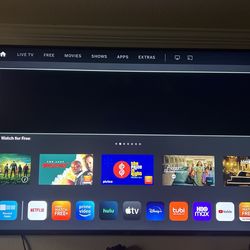 Vizio Flat Screen TV