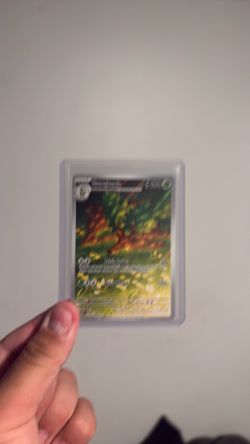 Pokemon cards English and Japanese