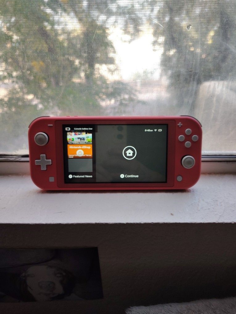 Nintendo Switch Lite