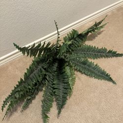 Plastic Fern Plant