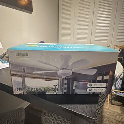 Ceiling Fan 