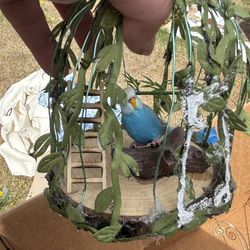 Two Birdhouses With Bird Inside
