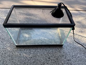 10 gallon reptile tank