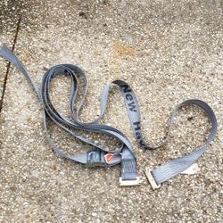 CAM BUCKLE STRAP 2"x16' w/2 'E' END FITTINGS