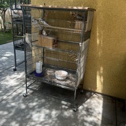 Bird Cage