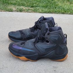 Lebron 13 black on sale lion for sale