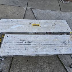 Platform Ladder
