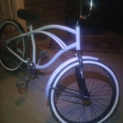 26' Beach Cruiser