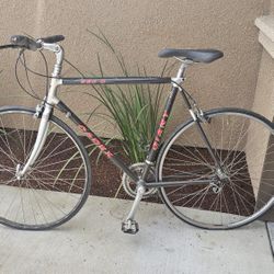 CLASSIC Carbon Fiber Road Bike 