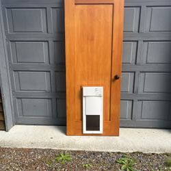 Custom Exterior Door/ Pet Door