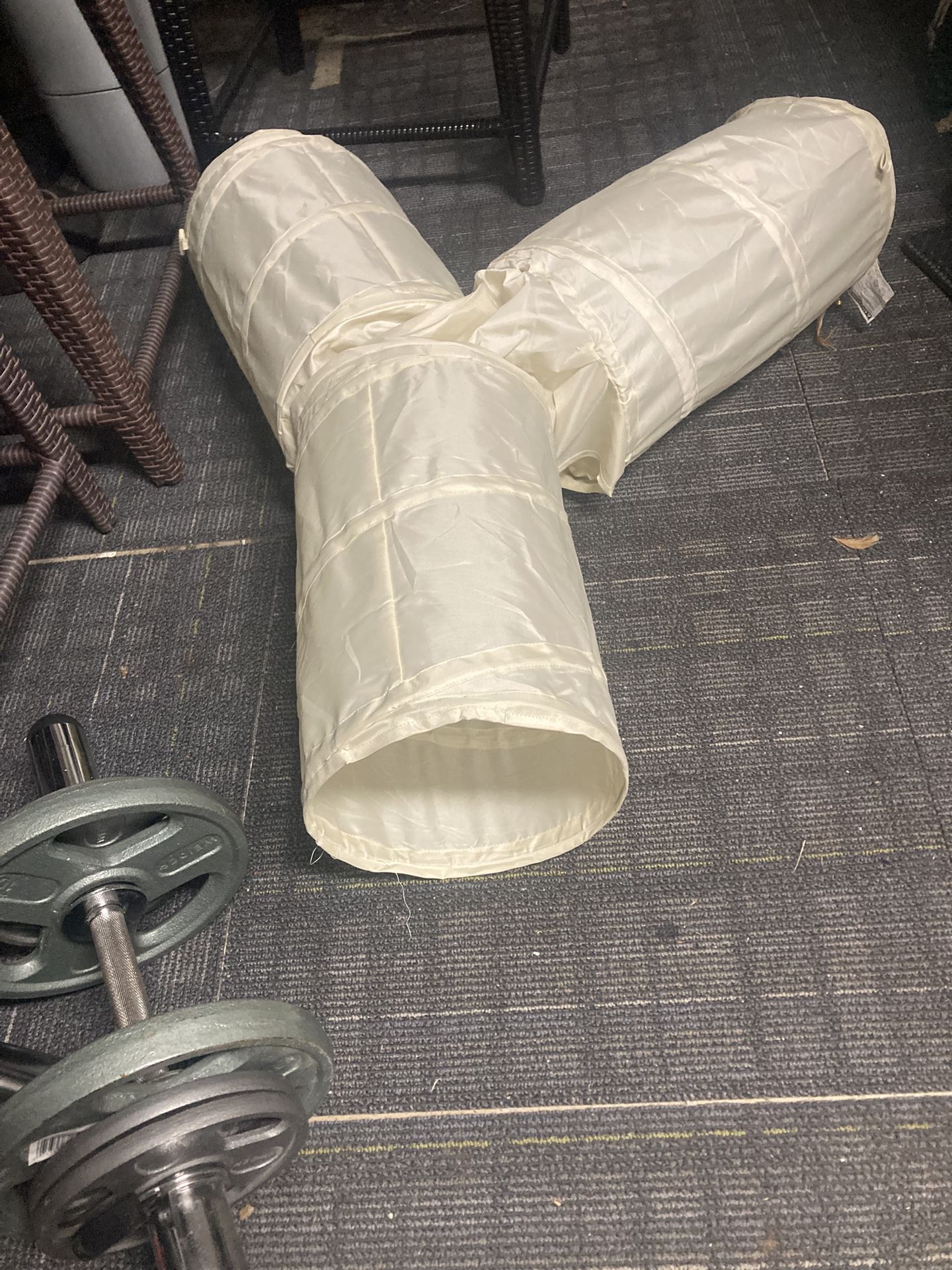 Cat Tunnels