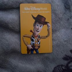 1 Day (1 Theme Park) Ticket