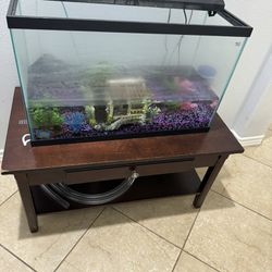 Free Fish Tank With Table 