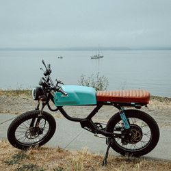 2020 Huck Rebel Cycle - Moped, Electric Bike