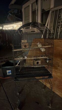 Paris/birds cage