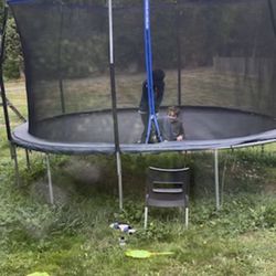 Trampoline 